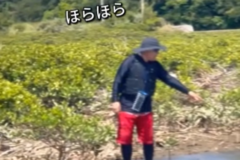 「トビハゼを追うもとむら賢太郎 編」